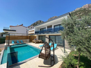 Villa Leyla